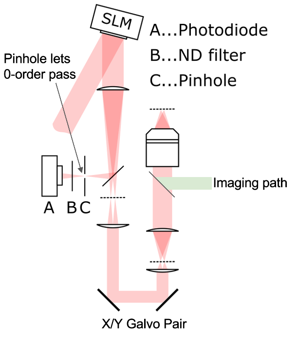 ../_images/SLMPhaseLUTCalSetup.png