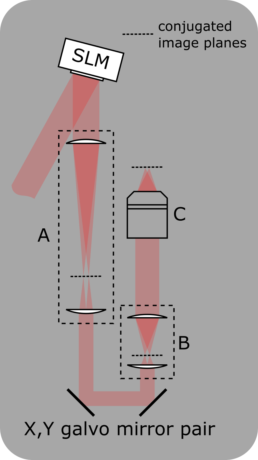 ../_images/SLMsetup.png