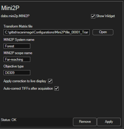 MINI2P configuration page with system/scope/objective fields and correction options