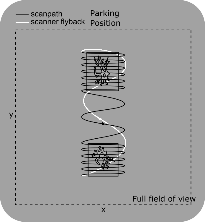 ../../_images/scanpath+RG.png