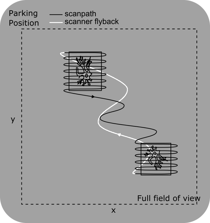 ../../_images/scanpath+RGG.png