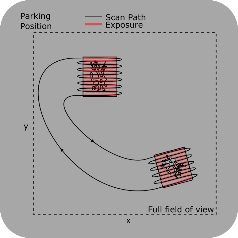 ../_images/scanpath+exposure.png